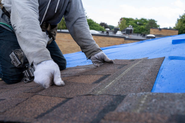 Gutter Installation and Roofing in Wooster, AR