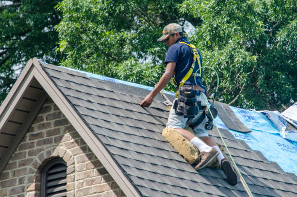 Professional Roofing Contractor in Wooster, AR